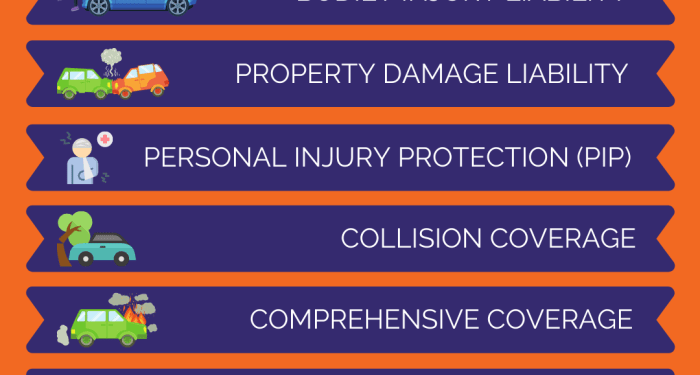 The Basics on Auto Insurance — The Insurance People